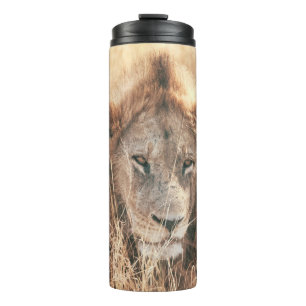 BOUTEILLES ISOTHERMES M. LION KING