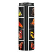 Bouteilles Isothermes Magnifique photo moderne Papillon noir (Dos)