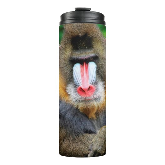 Bouteilles Isothermes Mandrill 001 (Devant)