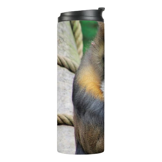 Bouteilles Isothermes Mandrill 001 (Tourné sur la gauche)