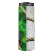 Bouteilles Isothermes Mandrill 001 (Dos)