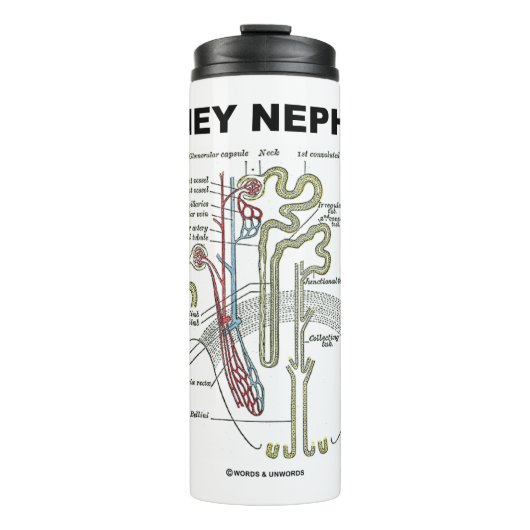 Bouteilles Isothermes Manuel d'anatomie de Kidney Nephron Grey (Devant)