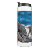 Bouteilles Isothermes Marine Iguana (Tourné sur la droite)