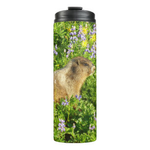 Bouteilles Isothermes Marmotte dans les fleurs sauvages du mont Rainier