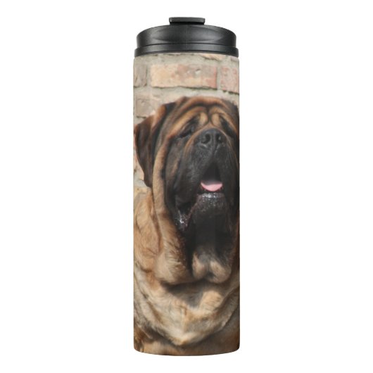 Bouteilles Isothermes Mastiff anglais (Devant)