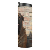 Bouteilles Isothermes Mastiff anglais (Tourné sur la droite)