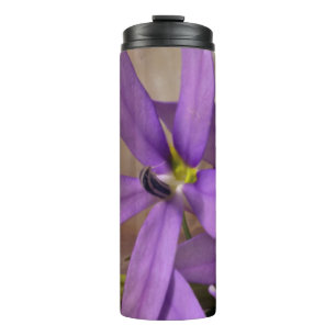 Bouteilles Isothermes Mauve Starshine Laurentia