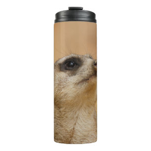 Bouteilles Isothermes Meerkat 001 par JAMFoto