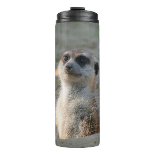 Bouteilles Isothermes Meerkat 004