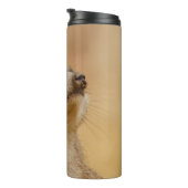 Bouteilles Isothermes Meerkat 011 (Tourné sur la droite)