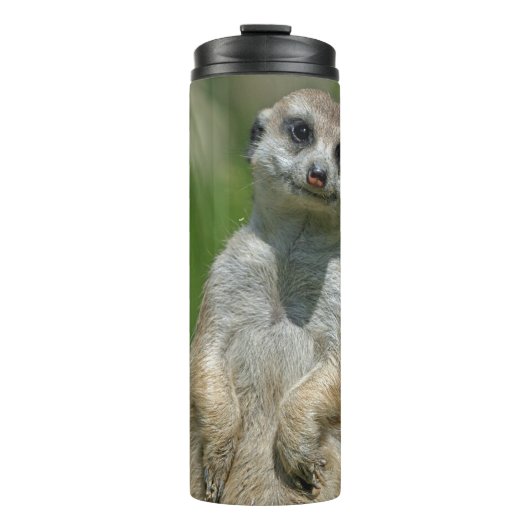 Bouteilles Isothermes Meerkat 013 (Devant)