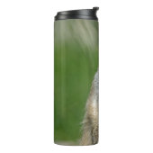 Bouteilles Isothermes Meerkat 013 (Tourné sur la gauche)