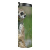 Bouteilles Isothermes Meerkat 013 (Tourné sur la droite)