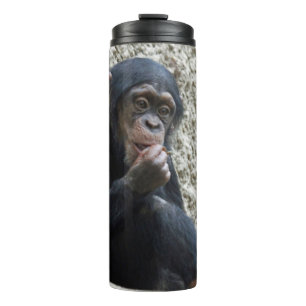 Bouteilles Isothermes Mer de Chimpané 013
