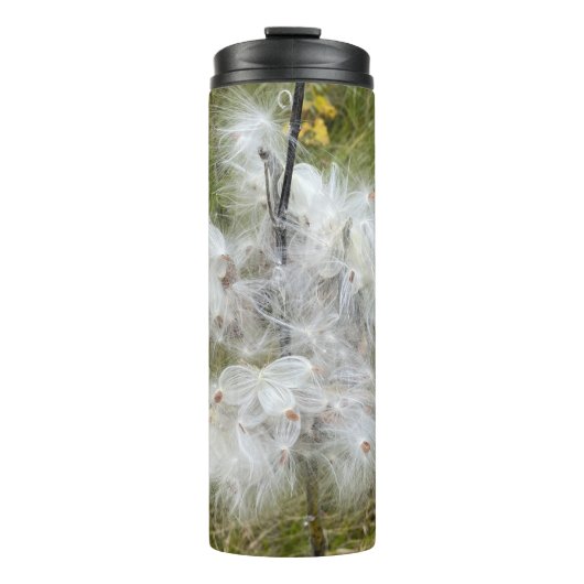 Bouteilles Isothermes Milkweed | Papillon | (Devant)