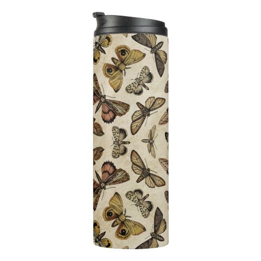 Bouteilles Isothermes Mois vintages (Tourné sur la droite)