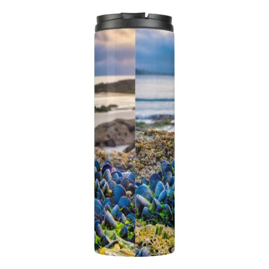 Bouteilles Isothermes Moules (Dos)