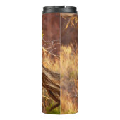 Bouteilles Isothermes Mountain Bluebird at Arches National Park (Dos)