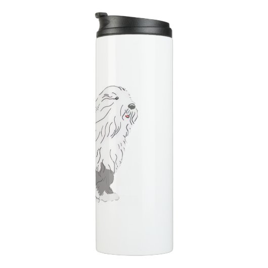 Bouteilles Isothermes Mouton anglais (Tourné sur la droite)