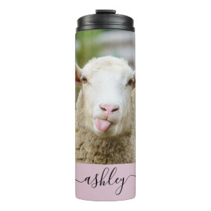 Bouteilles Isothermes Mouton montrer langue