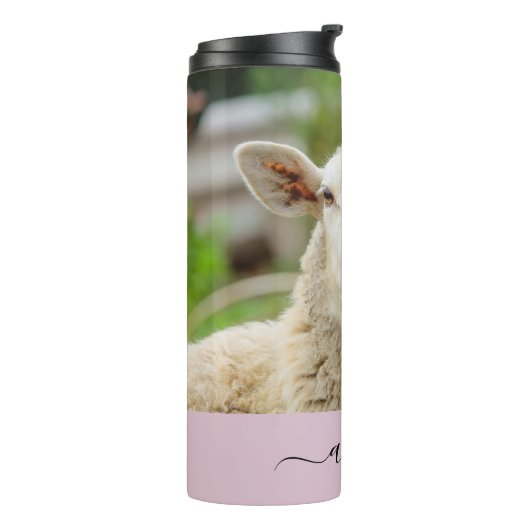 Bouteilles Isothermes Mouton montrer langue (Tourné sur la gauche)