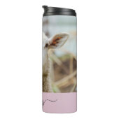 Bouteilles Isothermes Mouton montrer langue (Tourné sur la droite)