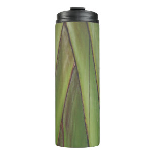 Bouteilles Isothermes Mug de voyage Palmier Voyageur Floride