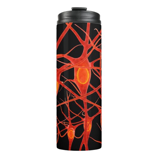 Bouteilles Isothermes neuronsneural, 3d, anatomie, axon, bio, biologique (Devant)