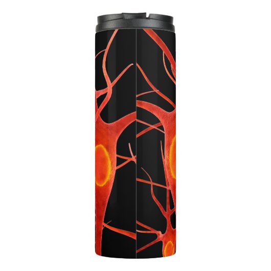 Bouteilles Isothermes neuronsneural, 3d, anatomie, axon, bio, biologique (Dos)