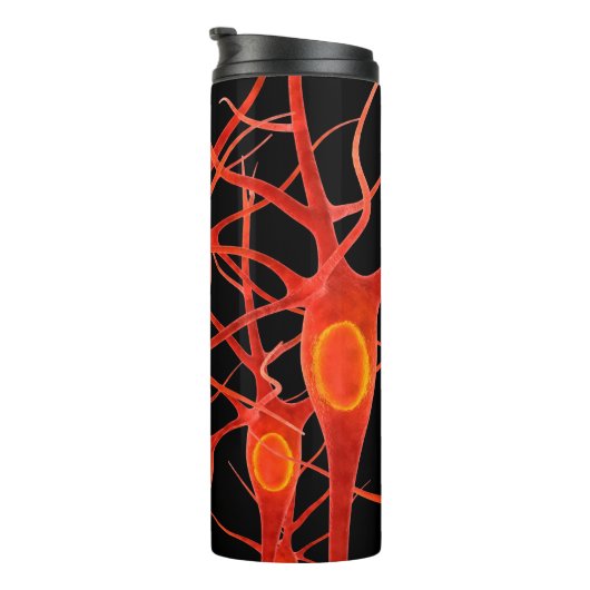 Bouteilles Isothermes neuronsneural, 3d, anatomie, axon, bio, biologique (Tourné sur la droite)