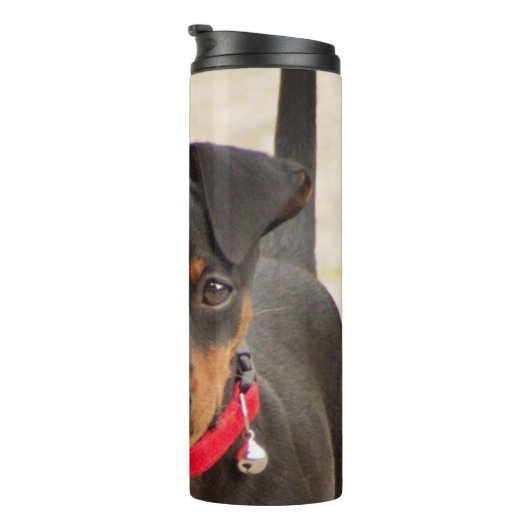 Bouteilles Isothermes noir et rouille miniature (Tourné sur la droite)