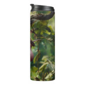 Bouteilles Isothermes Oiseau avec boules thermo tumbler (Tourné sur la droite)