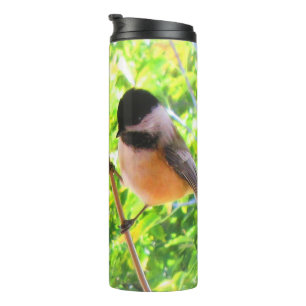 Bouteilles Isothermes Oiseau chanteur mignon de Chickadee couvert par
