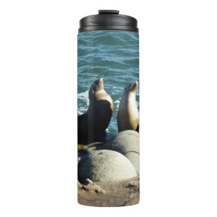 Bouteilles Isothermes Otaries de San Diego