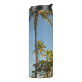 Bouteilles Isothermes Palmier à coco vert près du terrain d'herbe verte (Tourné sur la gauche)