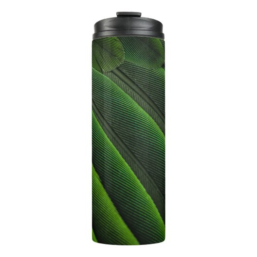 Bouteilles Isothermes Papier peint 3D vert (Devant)