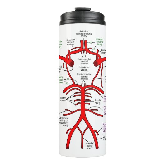 Bouteilles Isothermes Paruline thermique (Devant)