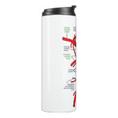 Bouteilles Isothermes Paruline thermique (Tourné sur la gauche)