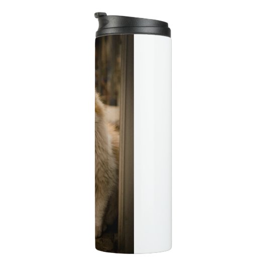 Bouteilles Isothermes Paruline Thermique Avec Conception De Chat Mignonn (Tourné sur la droite)