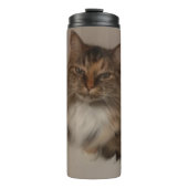 Bouteilles Isothermes Paruline thermique Calico Cat (Devant)