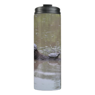 Bouteilles Isothermes Paruline thermique de tortue
