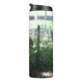 Bouteilles Isothermes Paruline thermique des écureuils (Tourné sur la droite)