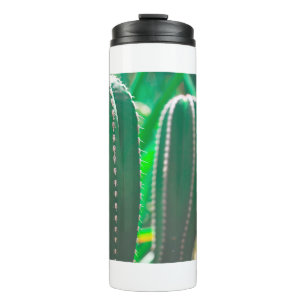 Bouteilles Isothermes Pastel Green Cactus plante feuilles