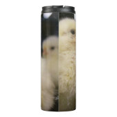 Bouteilles Isothermes Peeps (Dos)