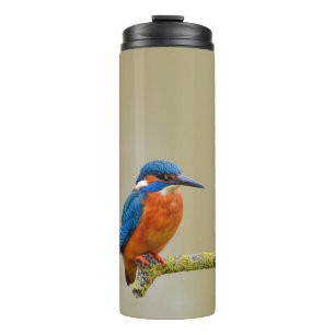 Bouteilles Isothermes Perching Kingfisher