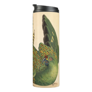Bouteilles Isothermes Perruche terrestre de James Sowerby, Psittacus ter