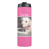 Photo Cute White Labrador Mix Dog Pink Thermal