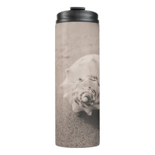 Bouteilles Isothermes Photo de clôture de coquillages blancs sur sable