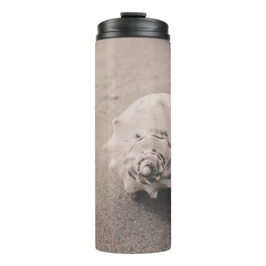 Bouteilles Isothermes Photo de clôture de coquillages blancs sur sable (Devant)