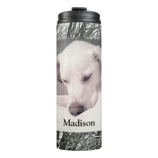 Bouteilles Isothermes Photo de mignonne White Lazy Dog Winter Snow Day T (Devant)